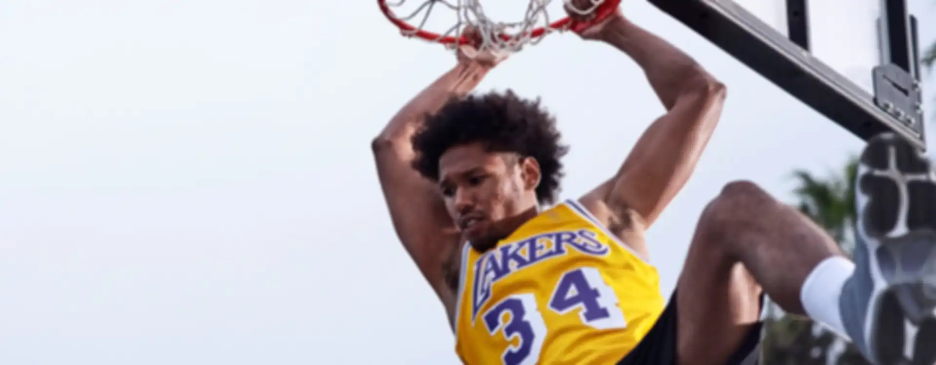 New Orleans Pelicans Background