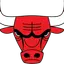 Chicago Bulls logo