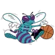 Charlotte Hornets logo